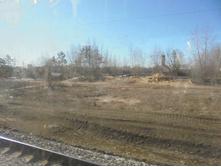 DSC04178.JPG