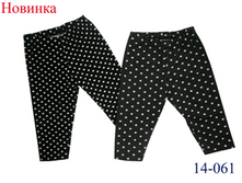 14-061	����� �������