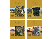 ������� 24�. ������ ����� ������ 8,68.jpg