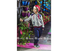 ������ 850� 86�