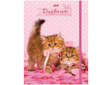 ������� 5-11 ��. 48�. (�������) ��� �������, ������������ ����, �� ������� 46,62.jpg