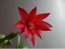 �������������