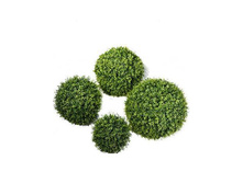 c4739d66-678d-42f7-9220-ed41a7a598cc.jpg