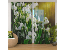 �������� <<�������>>