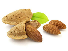 ������ PMPEEL (����������.+ ��������. �-��) ��=1,1 %