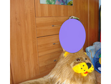 ���� ���.jpg