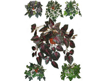 �� 25/144 - 440 - ������ 25%