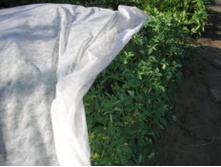 �������� ����� 60�/�2. ������ 1,6*10� - 349 ���