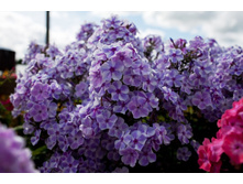 ����� -170�.jpg