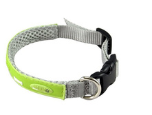 ������� Crazy Paws ����� BONE, �������