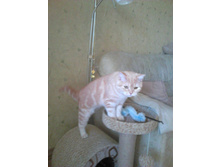 IMG-20150403-WA0007.jpg