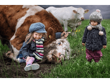 �������)