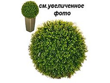 fb64c41c-dd65-4e55-bb50-f5e5f6095ba1.jpg
