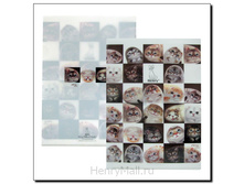 �����-������ <<����� � �������>> - 63 �����