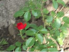 DSCF0159.jpg