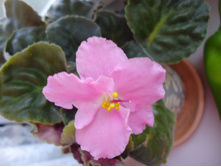 ������ ������� ������ ��������