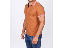 ���� �������.jpg