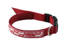 ������� Crazy Paws ����� POP ART, �������