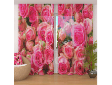 �������� <<������� ����>>