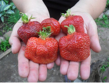 ��������� ����, 50���..jpg