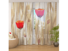 �������� <<���� � �������� ���>>