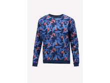 �������529091914(245) - 1189+%.jpg