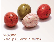 ����� ���� ��������