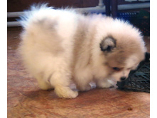 �-� ����� 007.JPG