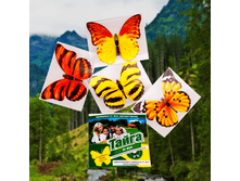 ������������ �������� �� ��� 29 ��. �������� (� �������� 4 �������) ��� 50 ��..png