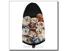 �������-��������� � ��������� � ����������� ������� "������� �����" L - 557 ������