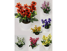 ��20/100(004) - 165 - ������ 25%