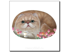 �������� ��� ������� � ������� ����� ������� - 147 ������