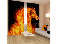 «�������� ����».png