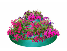 ������� ����������� 4� �������