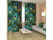 «���� �������».png