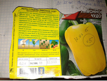 �������� ����