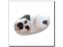 ������ ����� ���, �������� - 105 ������