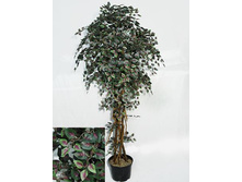180/��/�/181-2 - 4400