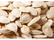 ������� ���������_�����������_�����.jpg