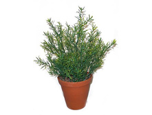 ��33/155 - 418 - ������ 25%