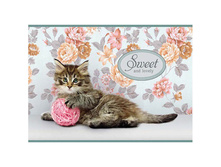 ������ ��� ��������� 12�. �4 �� ������� �������. Sweet pets, ���� 100 ��2, ���. ����� 11,20.jpg