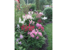 �������� � ����