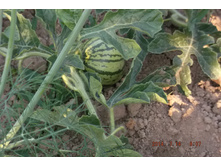29 ���� 2014 072.jpg