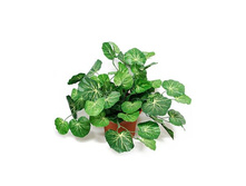 �25/128 - 377 - ������ 25%