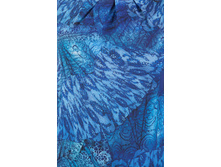 ������ ������ (�����)