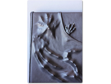 ����������� 848.jpg