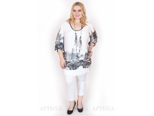 ������ V317.5