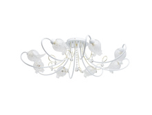 334012508  5650p.jpg