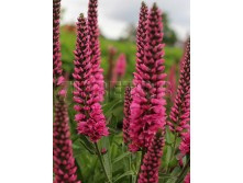 �������� ���������� ���� ��� EUR 1,88 122,06 7.jpg