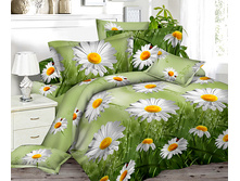 ������ ����-H101504.jpg